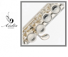 Aidis Querfl�te 503 B Vollsilber Korpus und Mundrohr